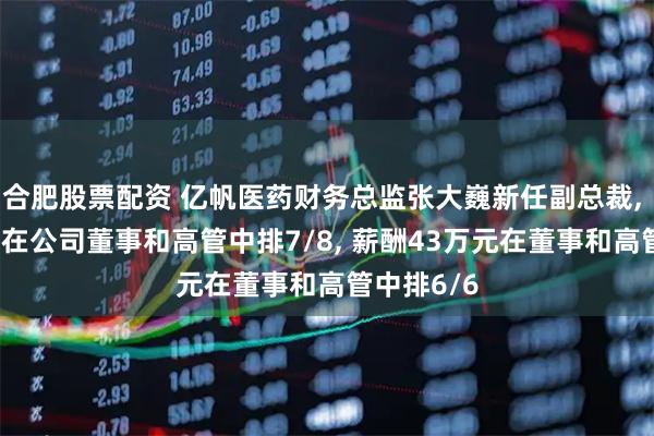 合肥股票配资 亿帆医药财务总监张大巍新任副总裁, 年龄44岁在公司董事和高管中排7/8, 薪酬43万元在董事和高管中排6/6