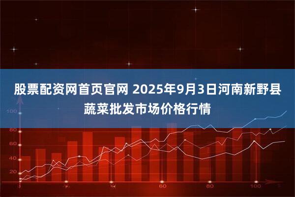 股票配资网首页官网 2025年9月3日河南新野县蔬菜批发市场价格行情