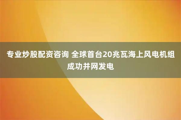 专业炒股配资咨询 全球首台20兆瓦海上风电机组成功并网发电
