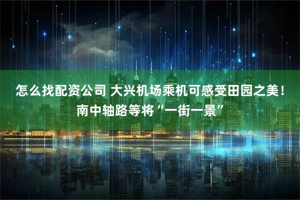 怎么找配资公司 大兴机场乘机可感受田园之美！南中轴路等将“一街一景”