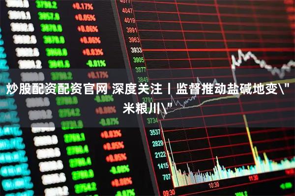 炒股配资配资官网 深度关注丨监督推动盐碱地变＂米粮川＂